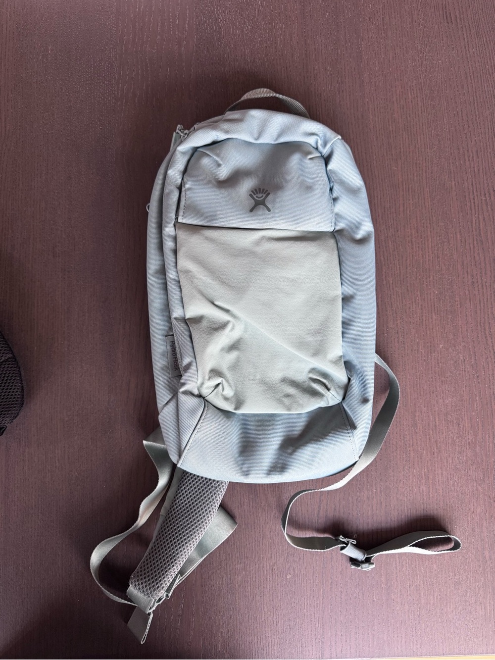 Hydro Flask Light Blue Sling Backpack - Crossbody Bag